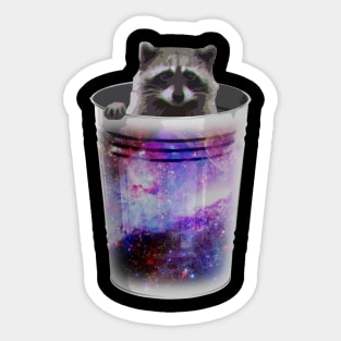 Raccoon Galaxy Sticker